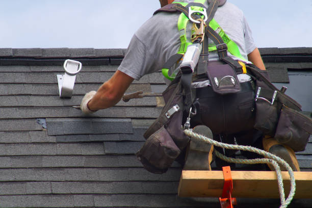Professional  Roofing repair and installation in North Aurora, IL